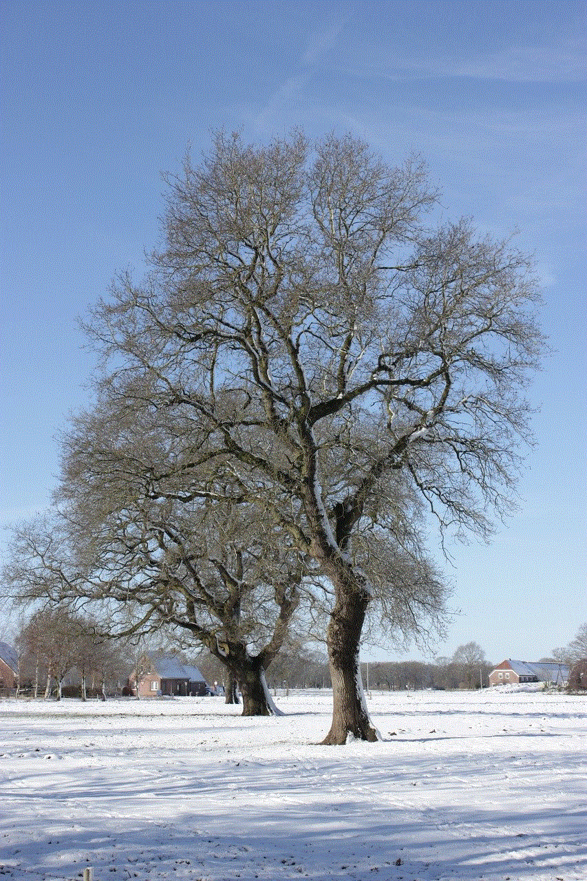 Tree Snow