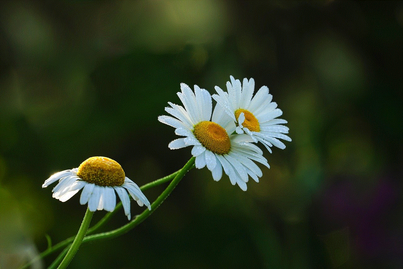 Flowers Petals