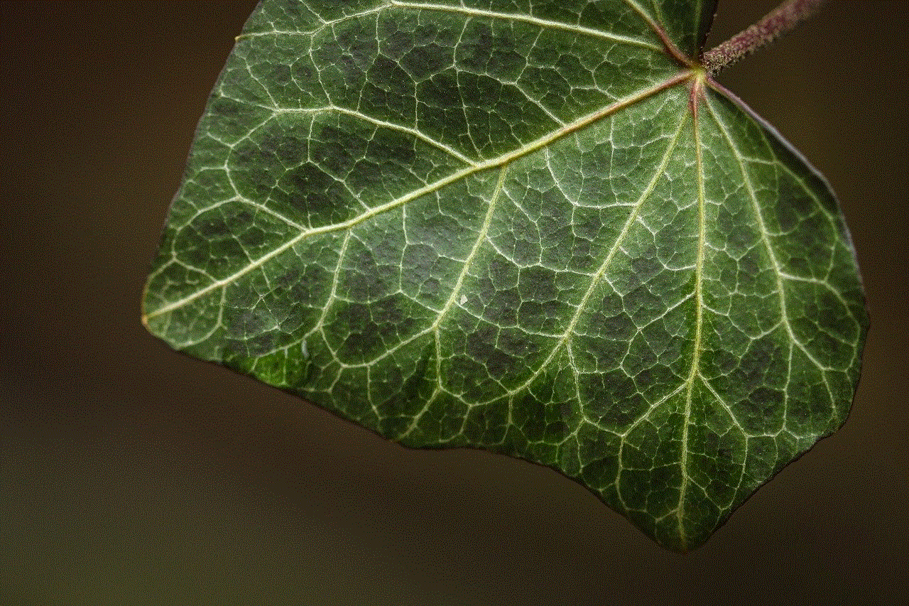 Ivy Leaf