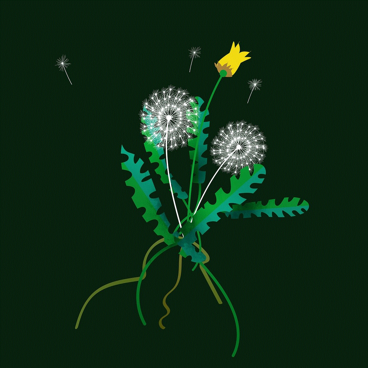 Dandelion Plant