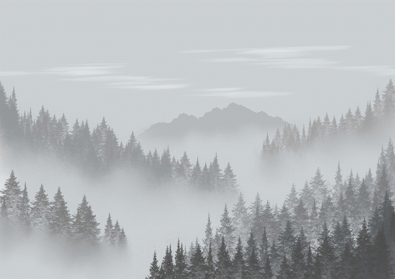 Forest Fog