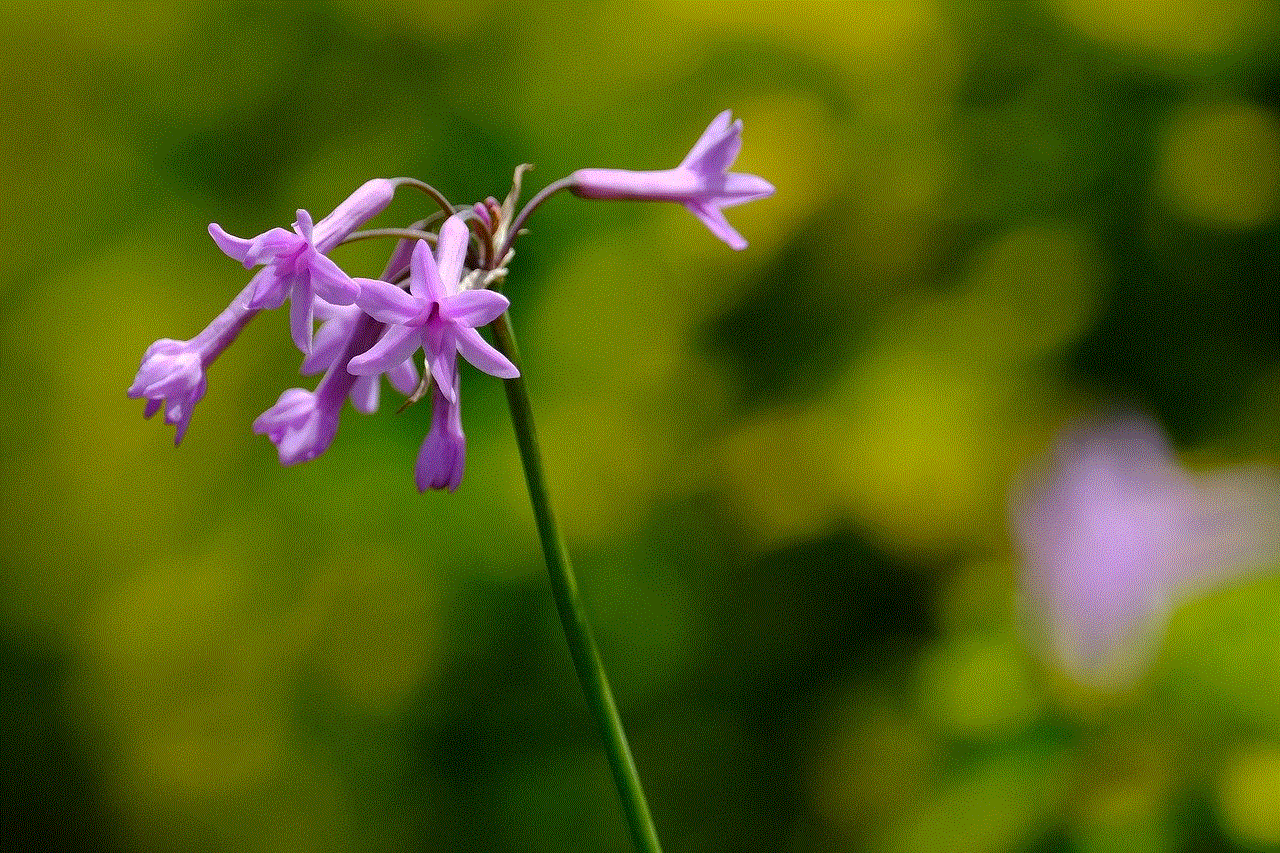 Flowers Pink