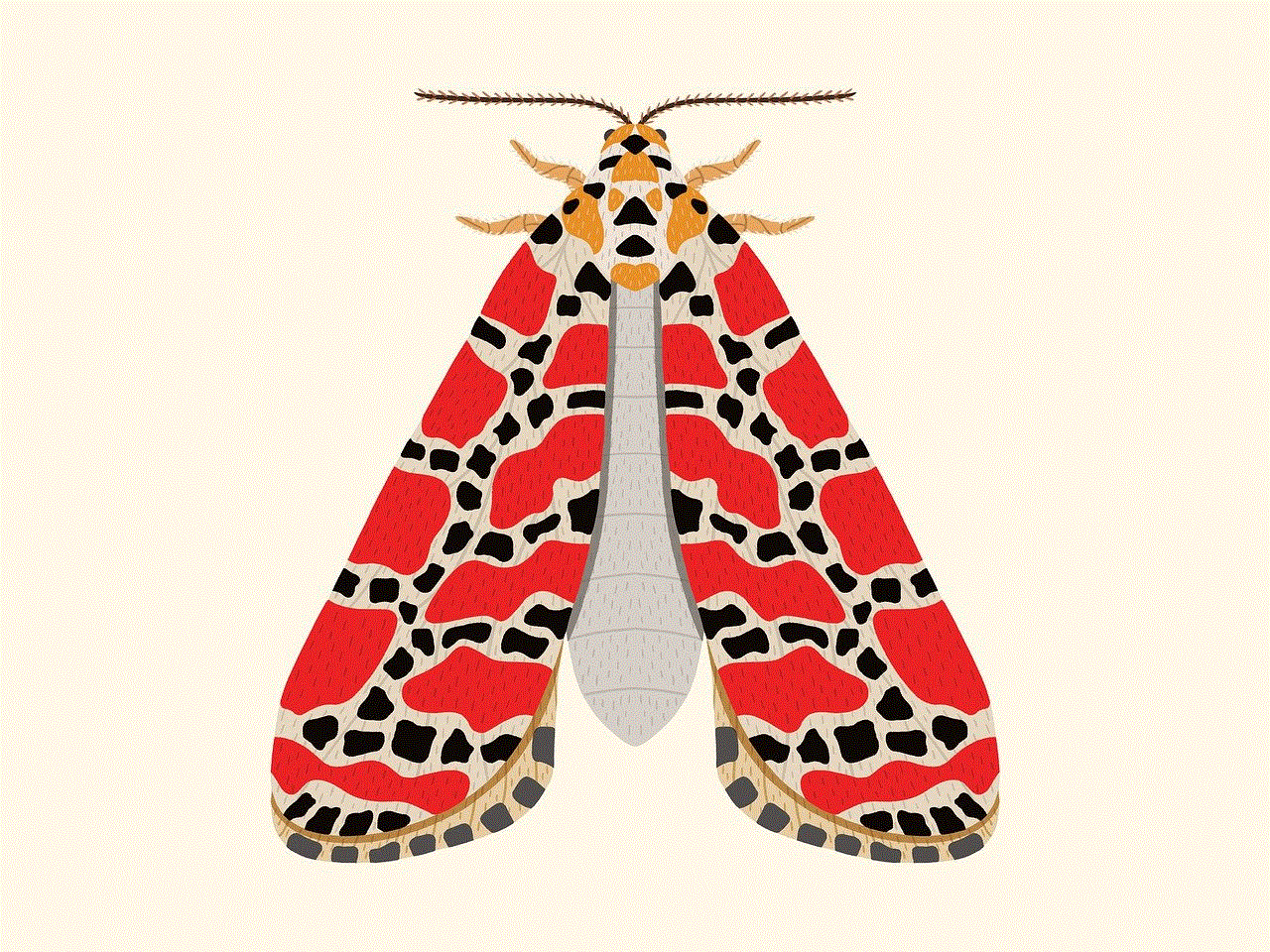 Moth Red Moth