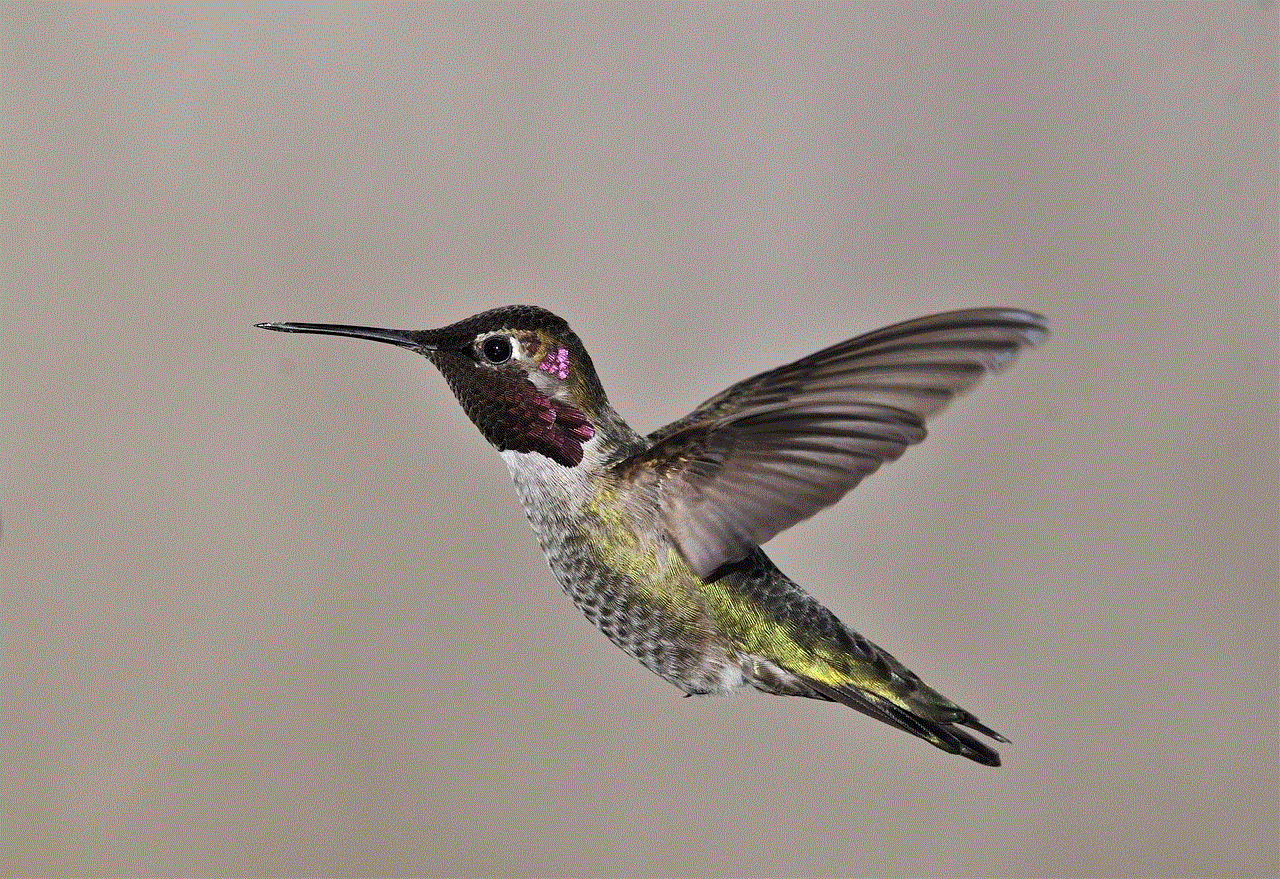 Bird Anna'S Hummingbird