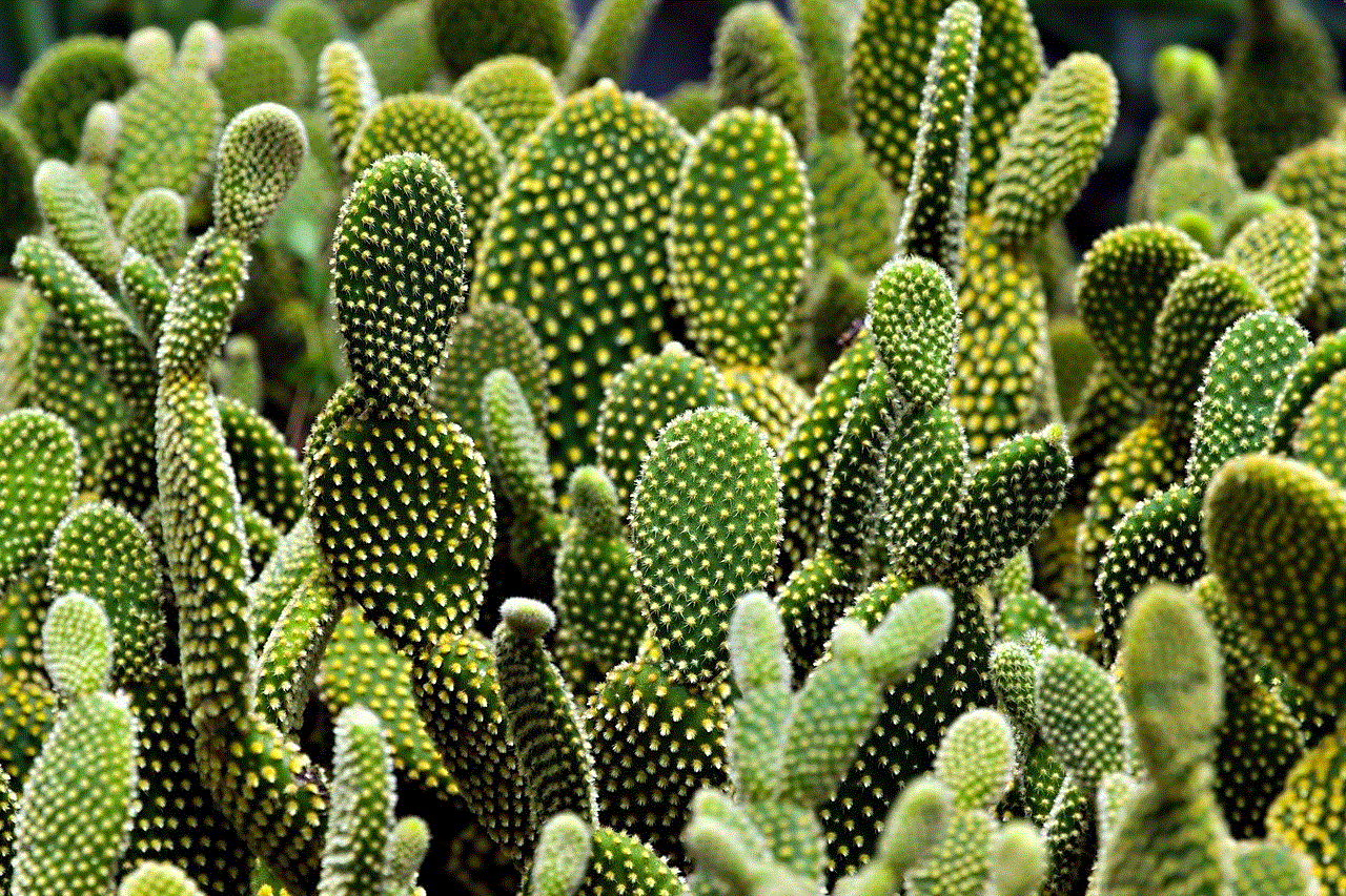 Cactus Flora