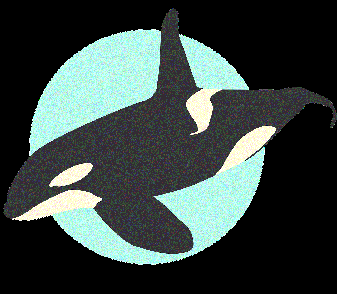 Whale Orca