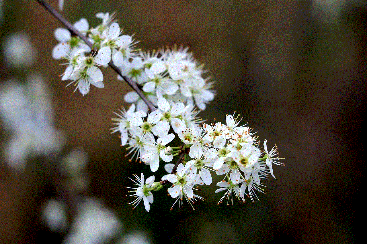 Hawthorn Flowers