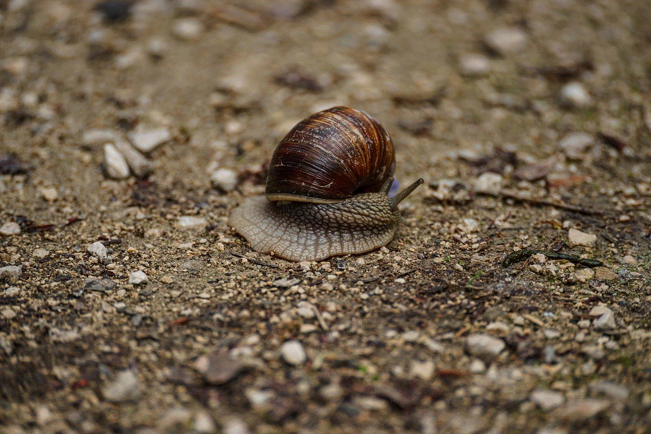 Snail Mollusk