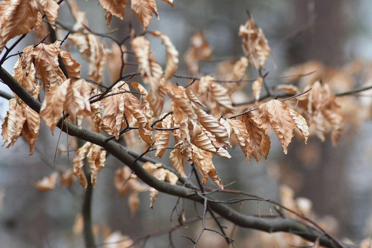 Dry Leaves