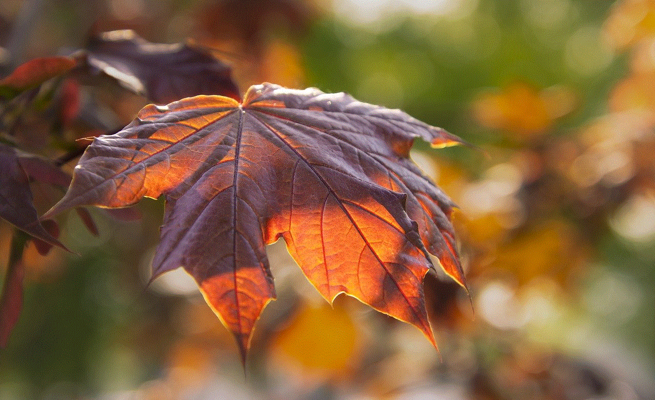 Leaves Foliage