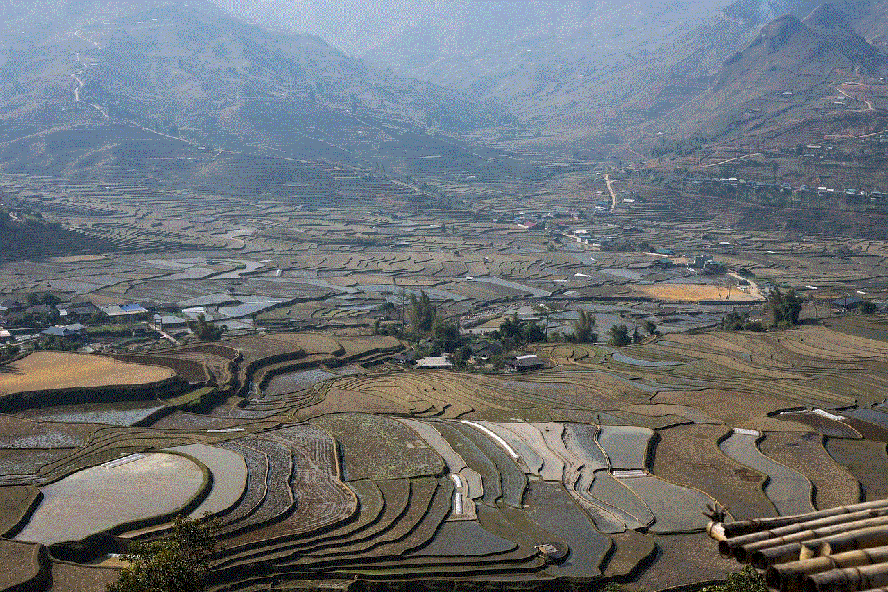 Terraces Fields