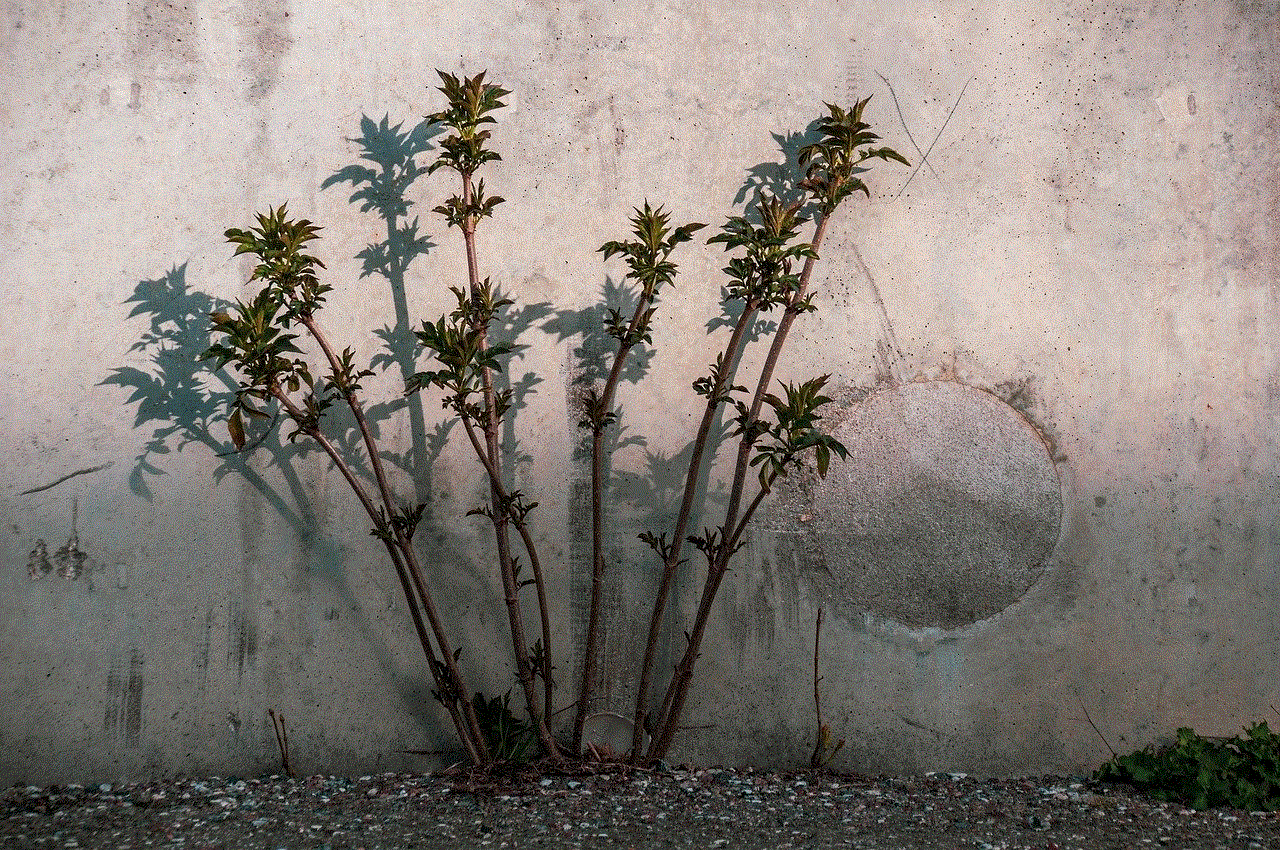 Plants Wall