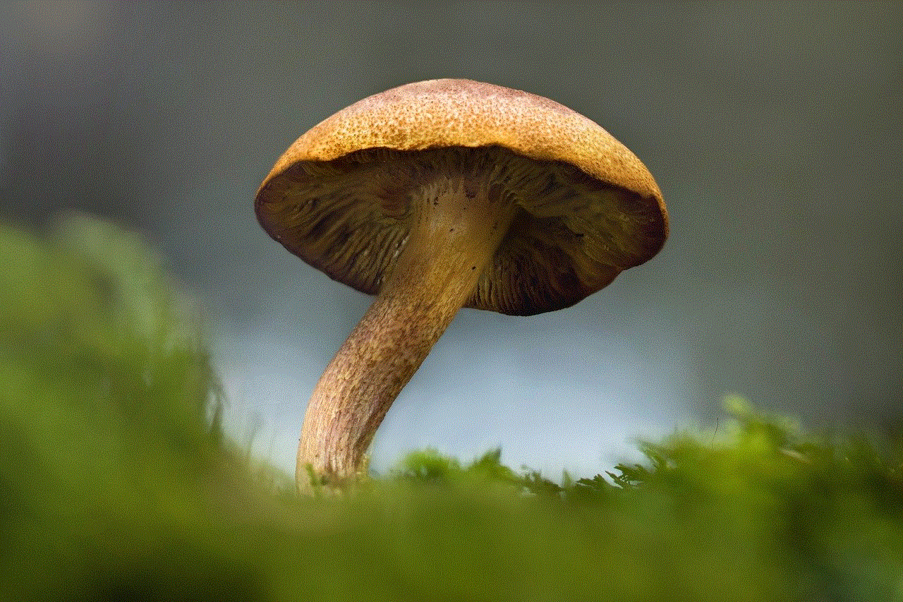 Mushroom Nature