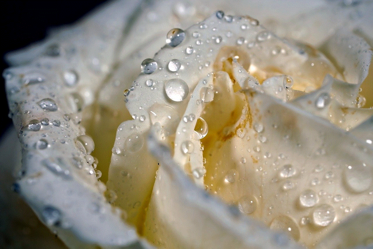 Rose Dew