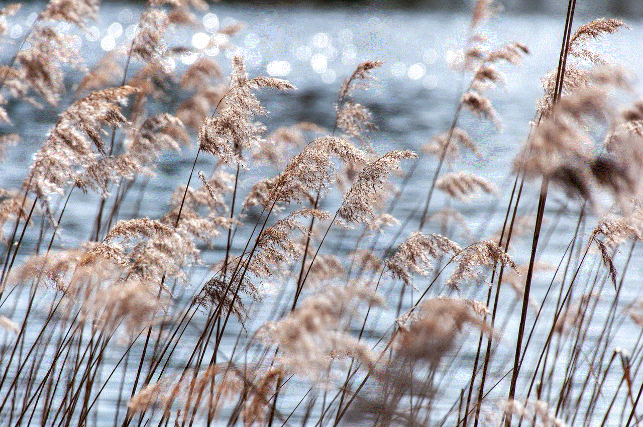 Reed Plant