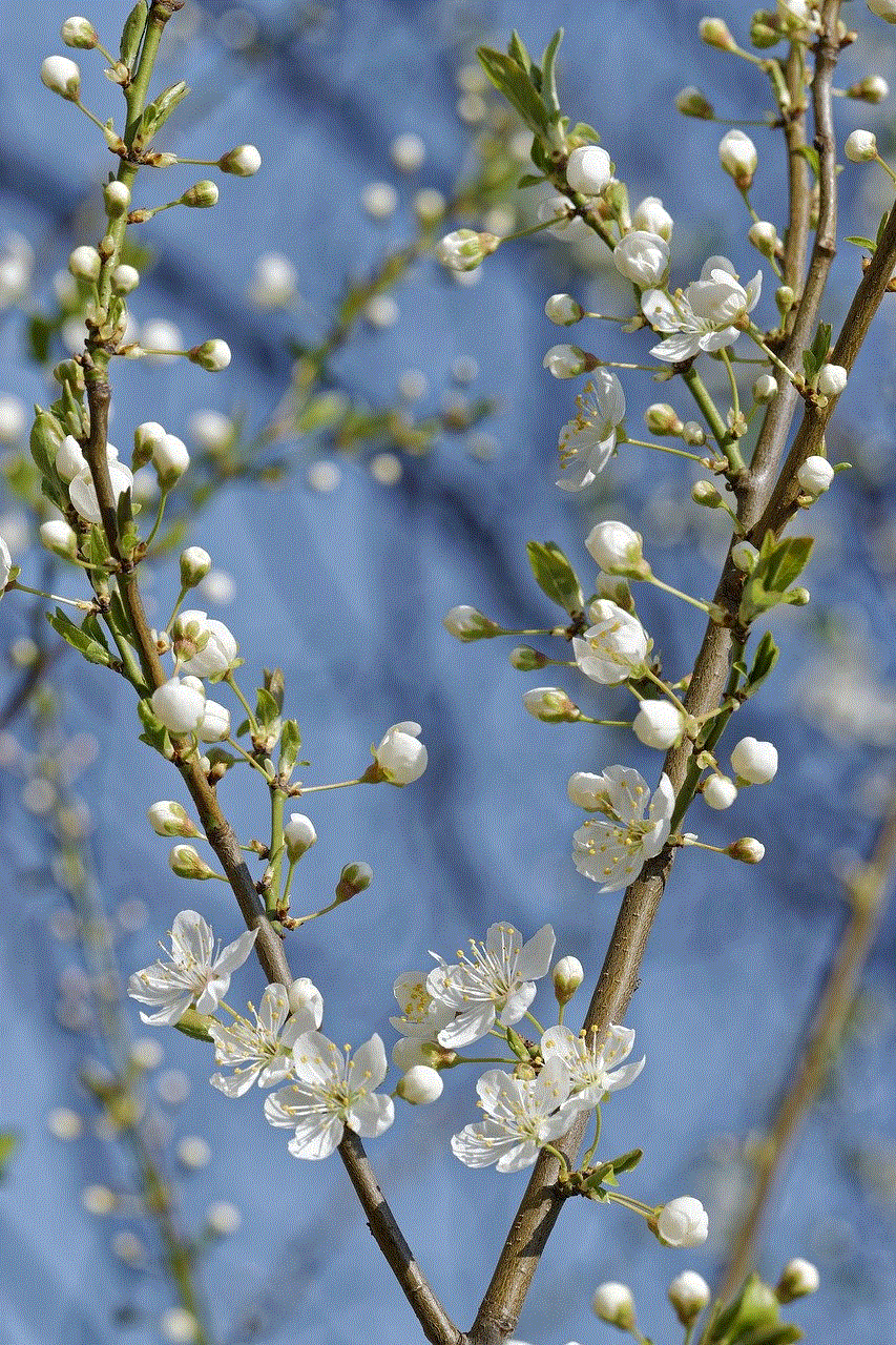 Flowers Flower Wallpaper Flowers Flower Wallpaper
