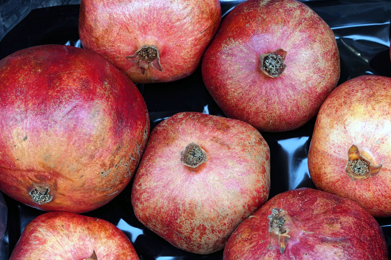 Pomegranates Fruits