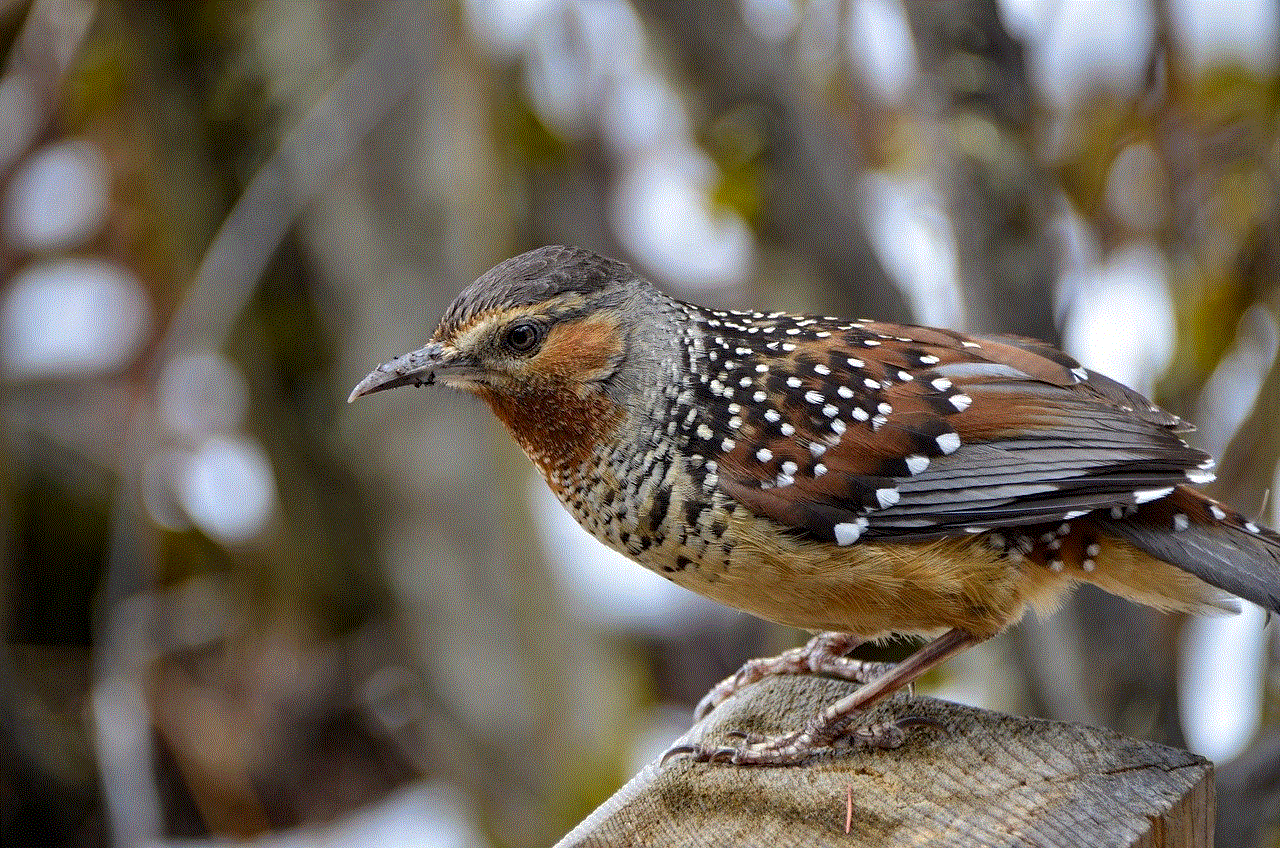 Spotted Laughingtrush Bird