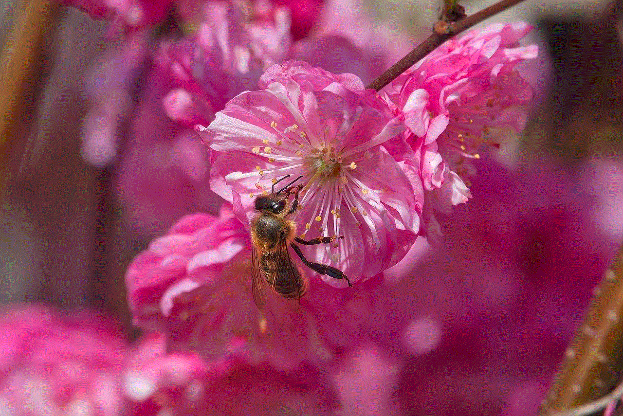 Flowers Bee
