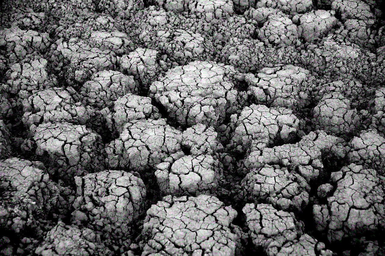 Earth Cracks Earth Cracks