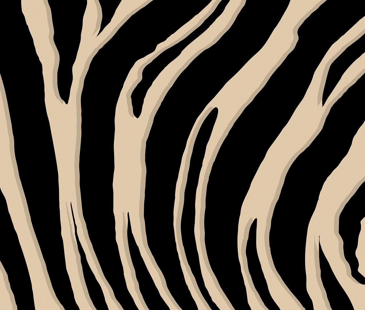 Zebra Stripes