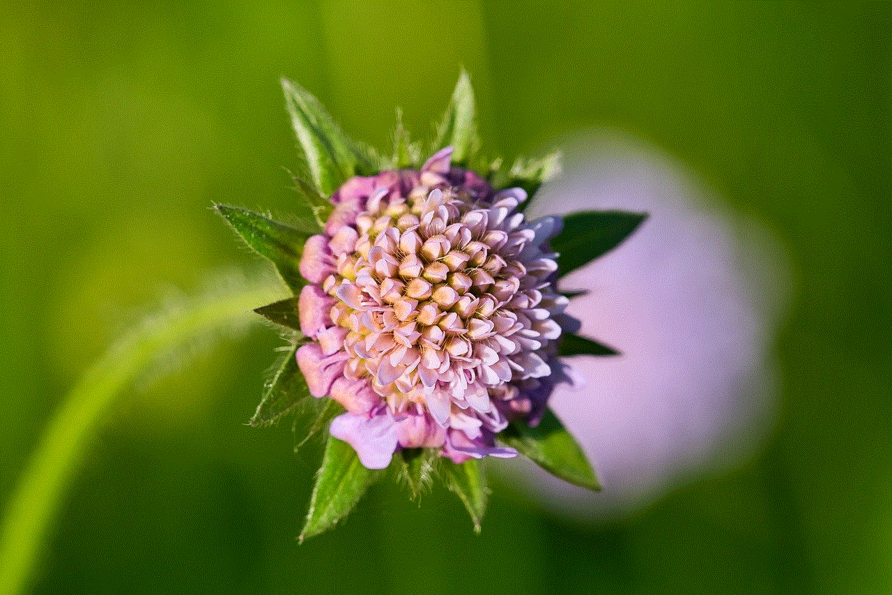 Wildflower Pink Flower