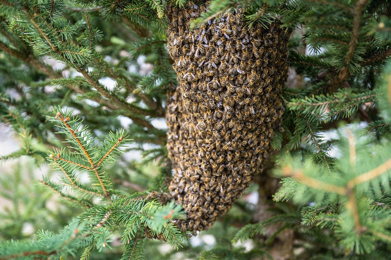 Swarm Of Bees Bees