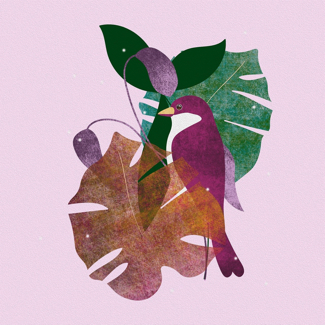 Bird Monstera