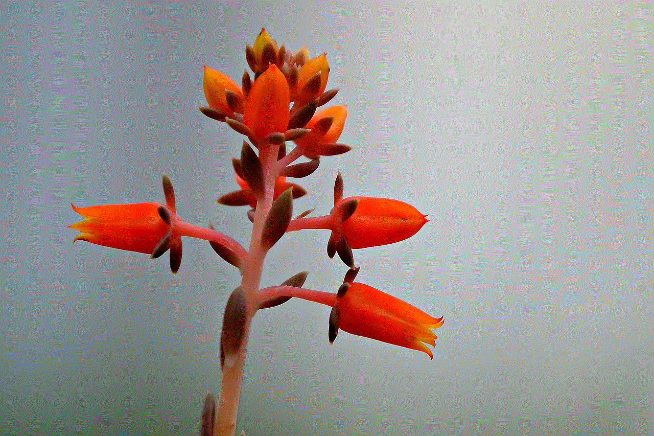 Flower Succulent