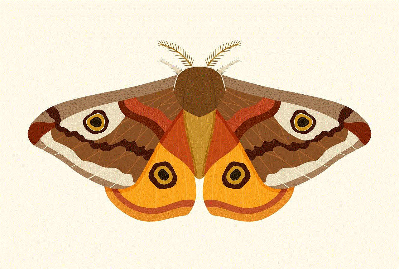 Moth Butterfly
