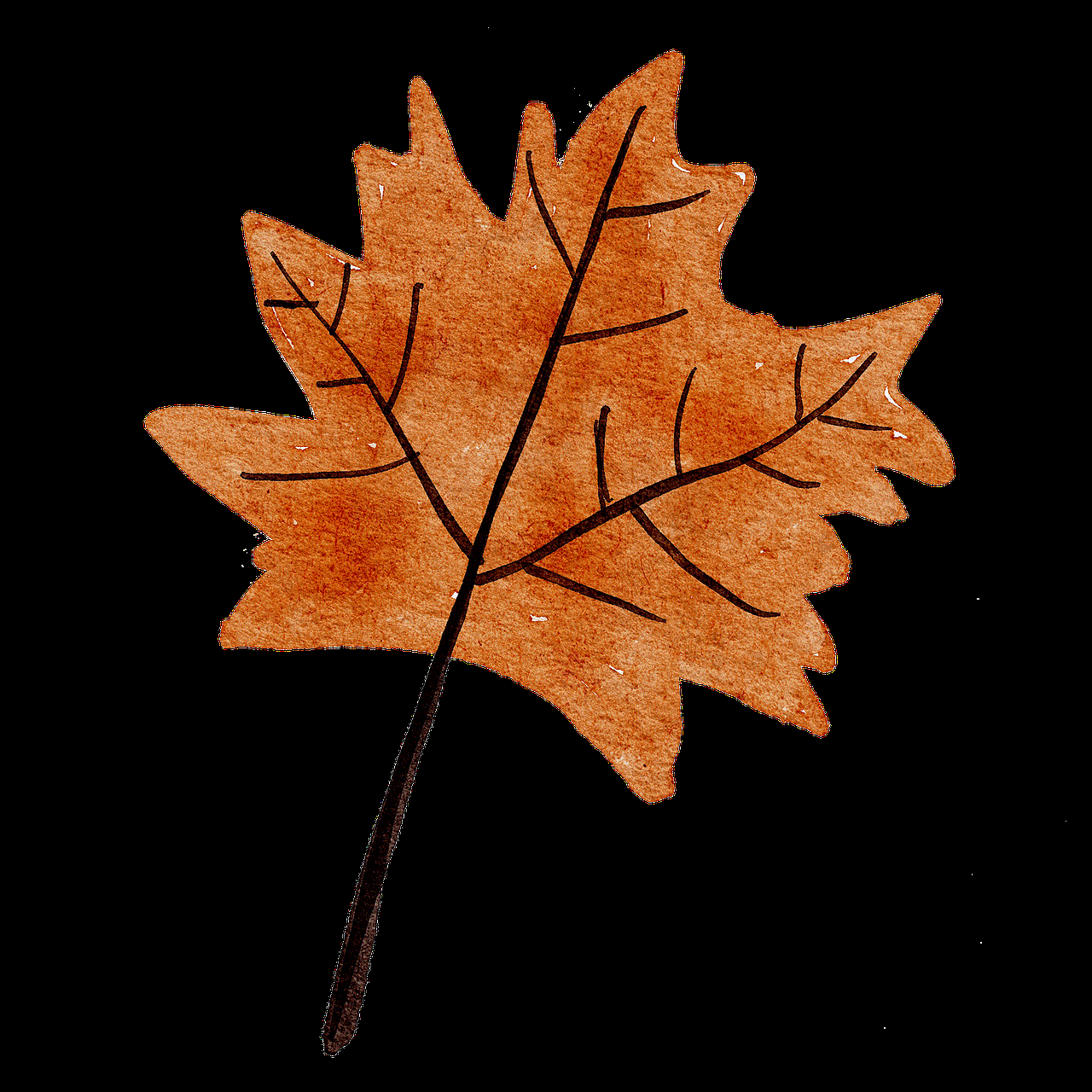 Maple Leaf Leaf