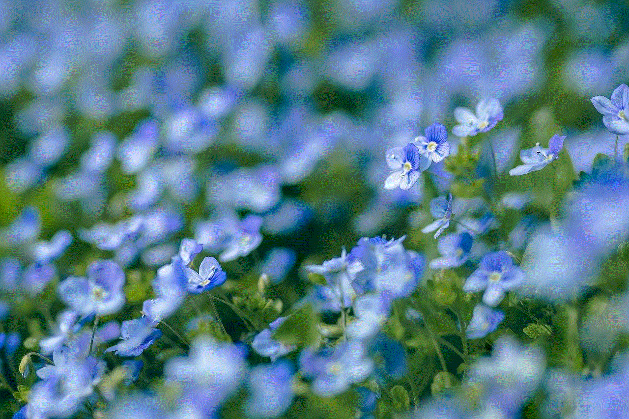 Flowers Blue Flowers