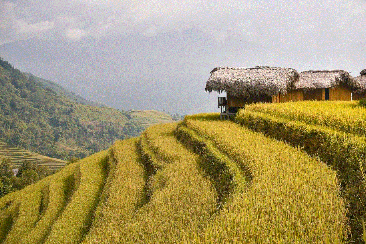 Terraces Rice Fields