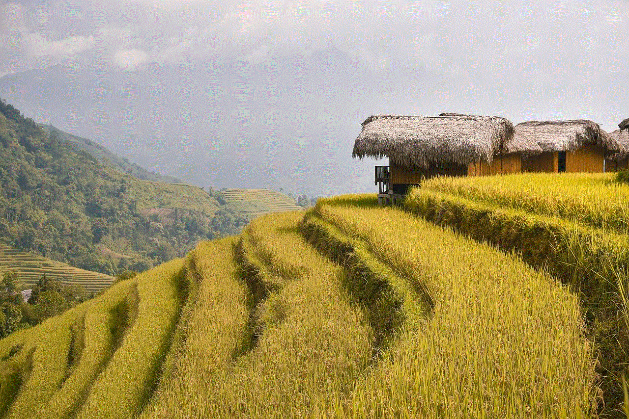 Terraces Rice Fields Terraces Rice Fields