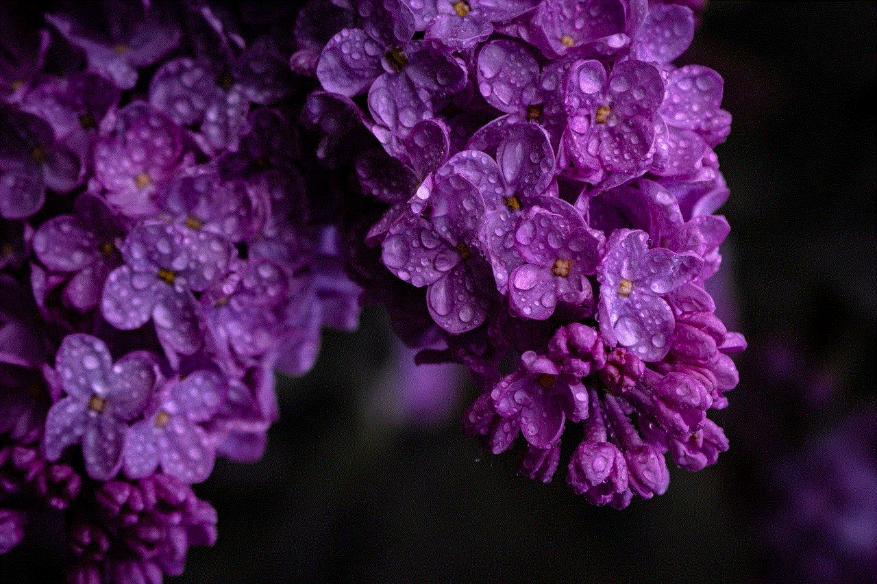 Lilac Purple Flowers