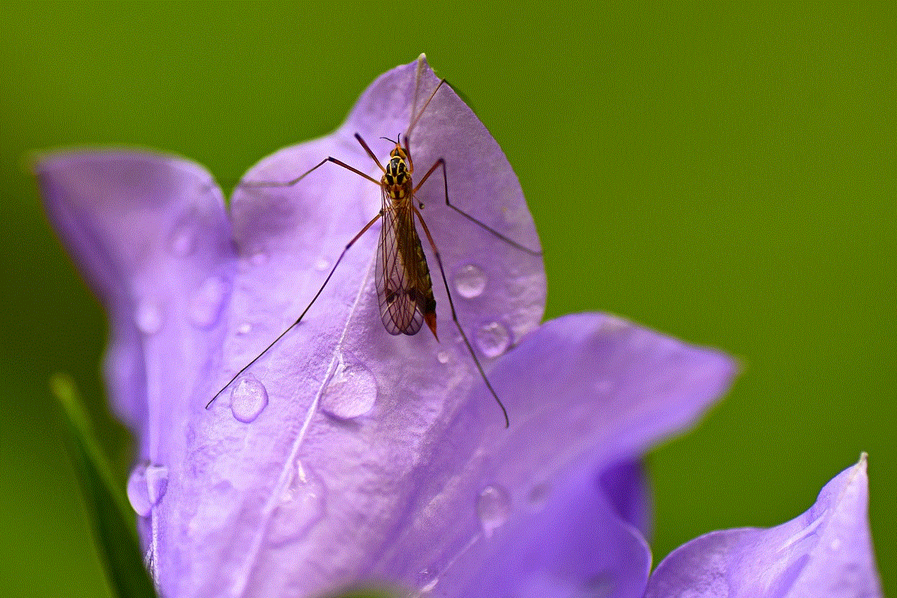 Insect Flower