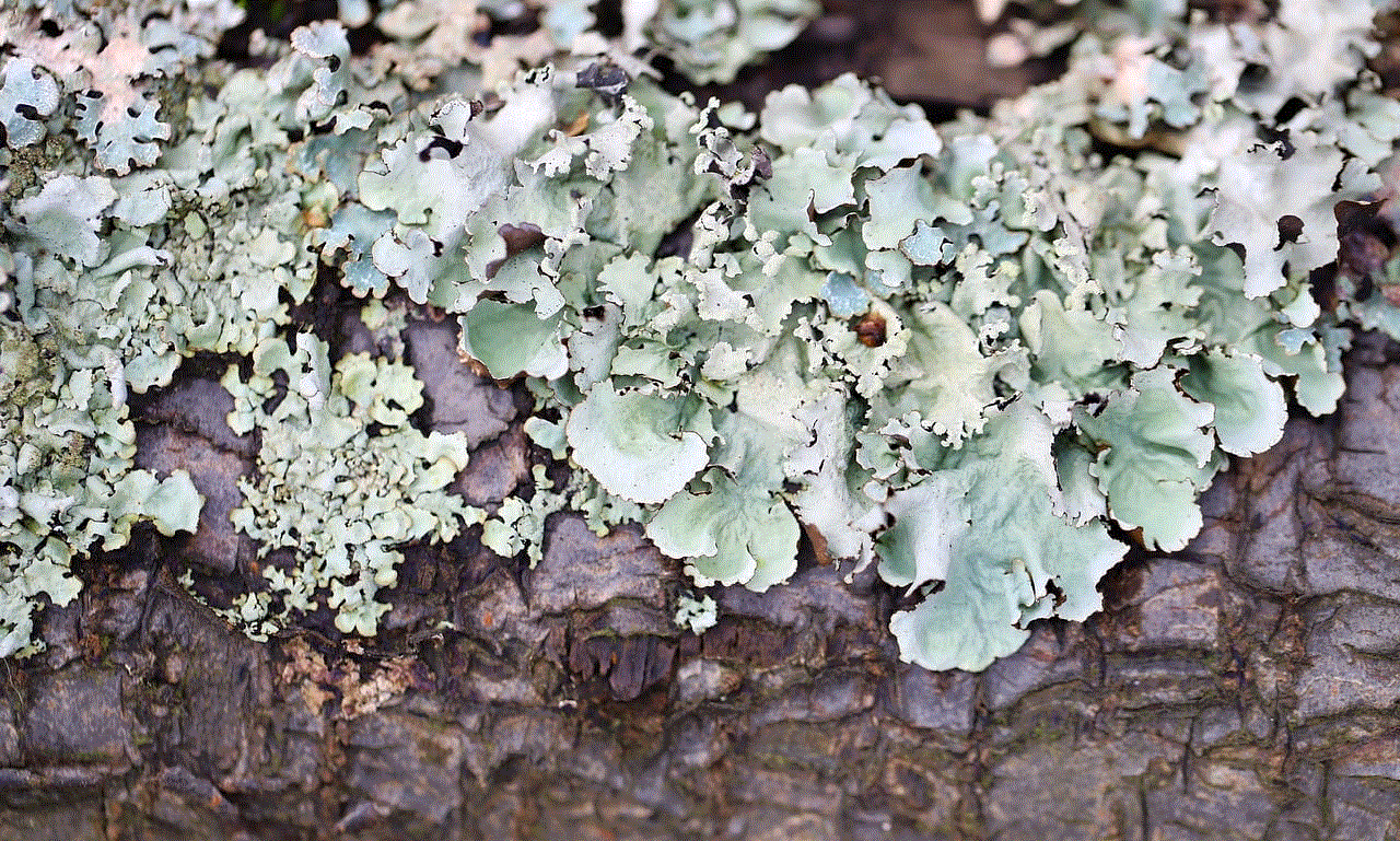 Weave Tree Bark