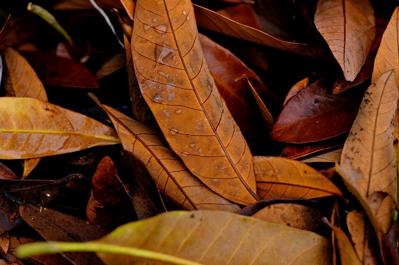 Dry Leaves Leaves