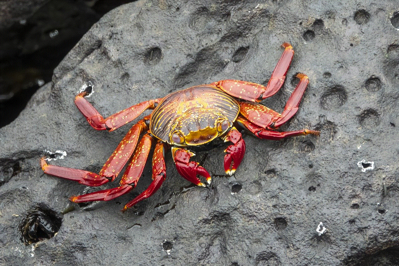Crab Grapsus Grapsus