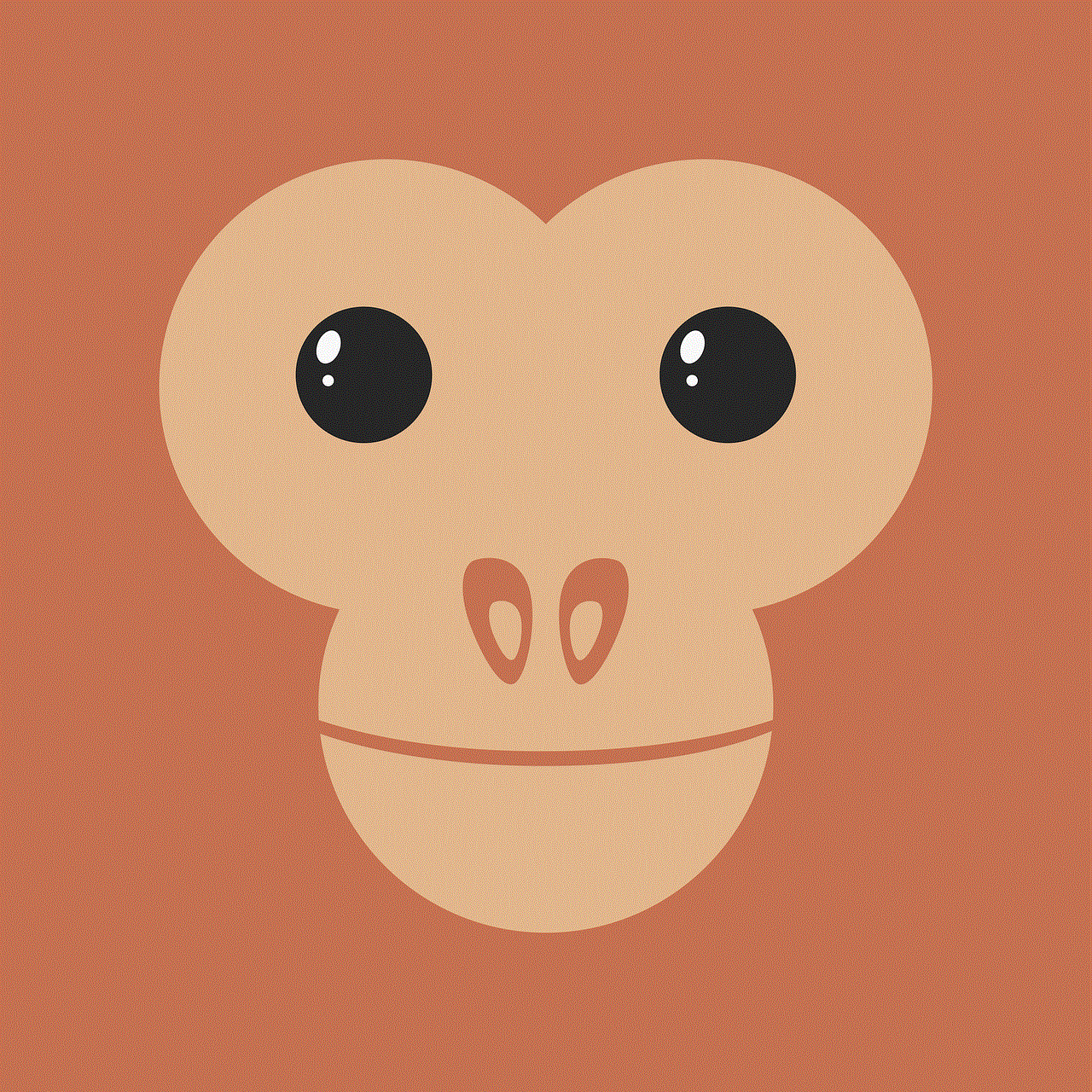 Monkey Primate