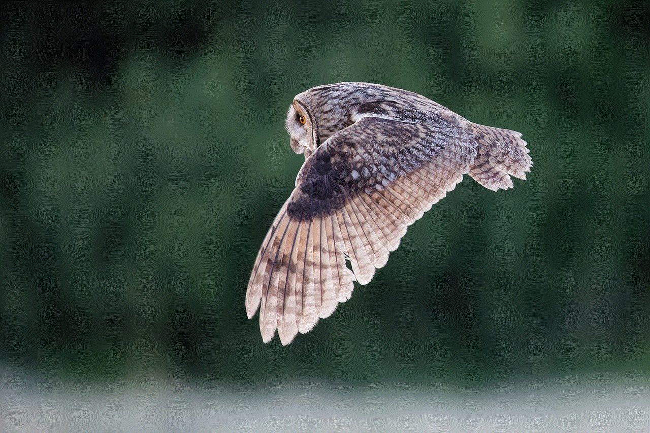 Long-Eared Owl Wallpaper Hd