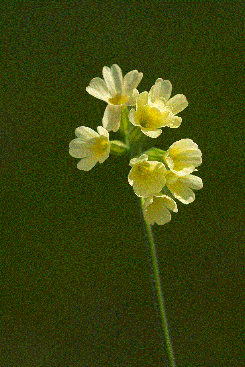 Flower Flower Background