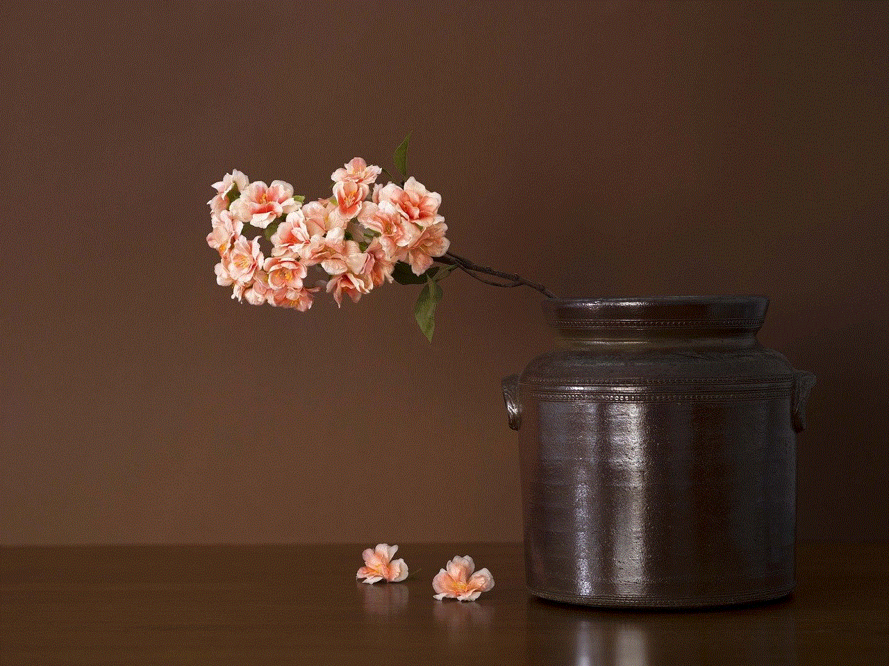 Flowers Blossoms Flowers Blossoms