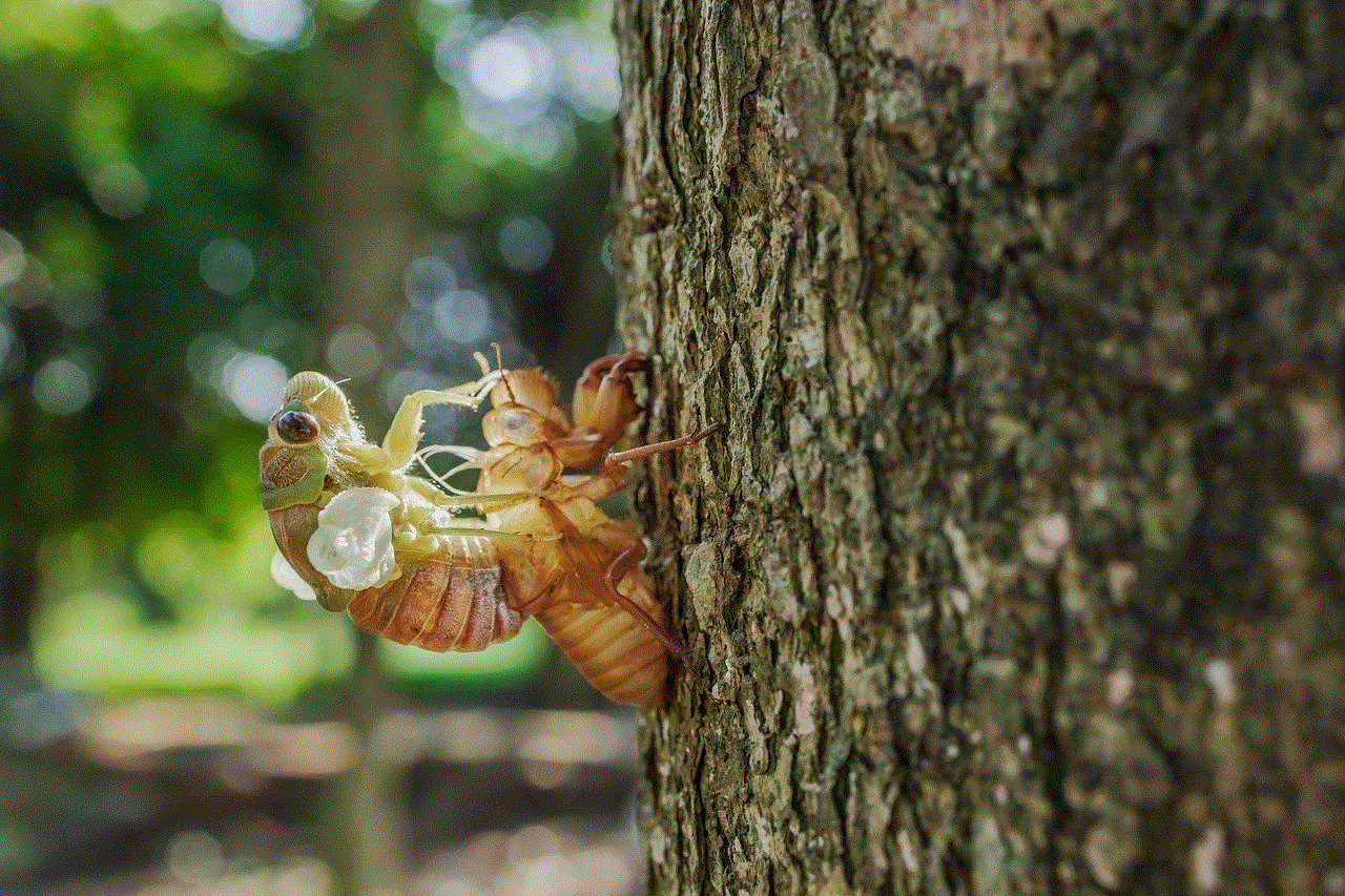 Insect Entomology Insect Entomology