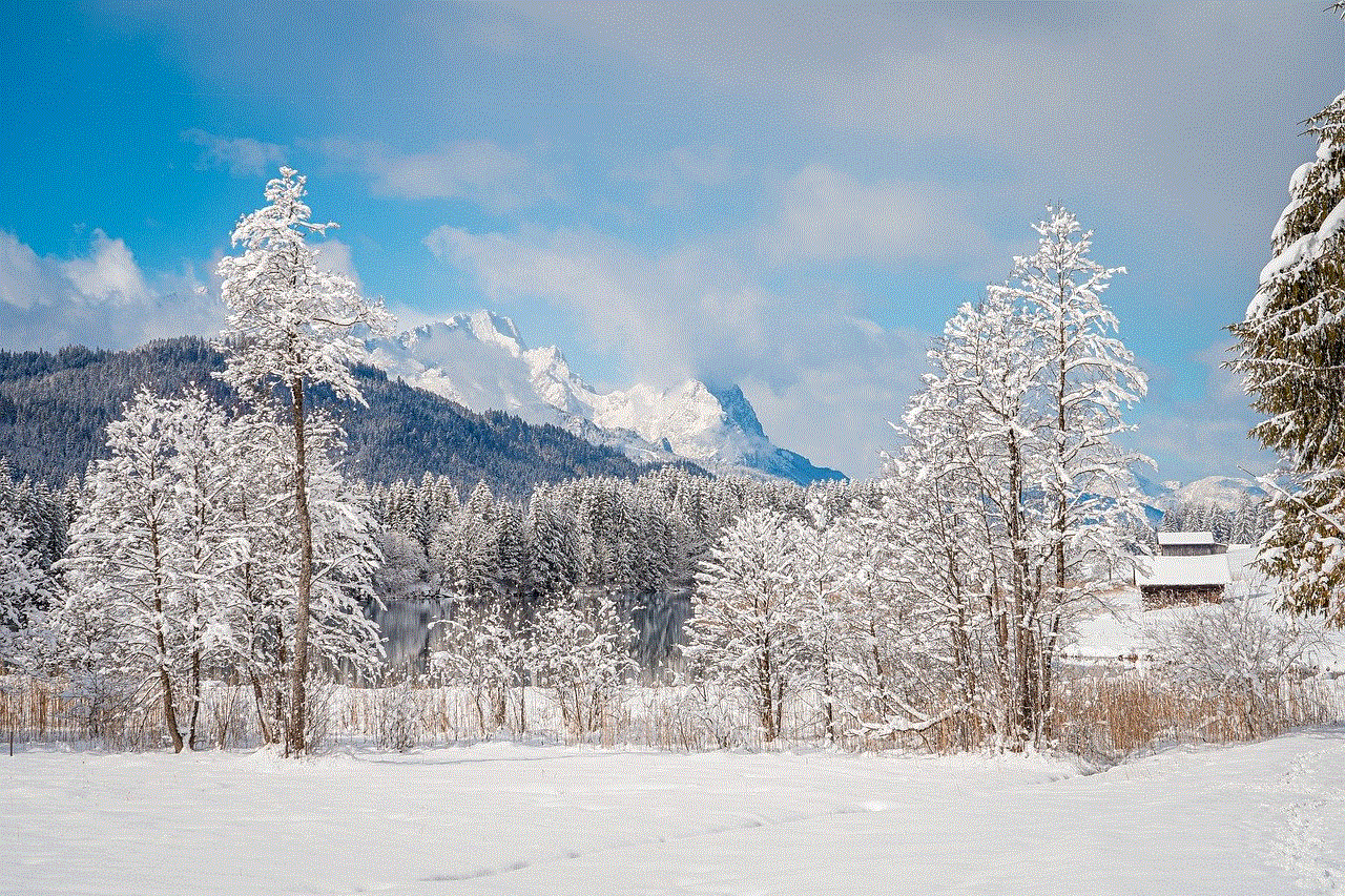 Winter Landscape Winter Magic