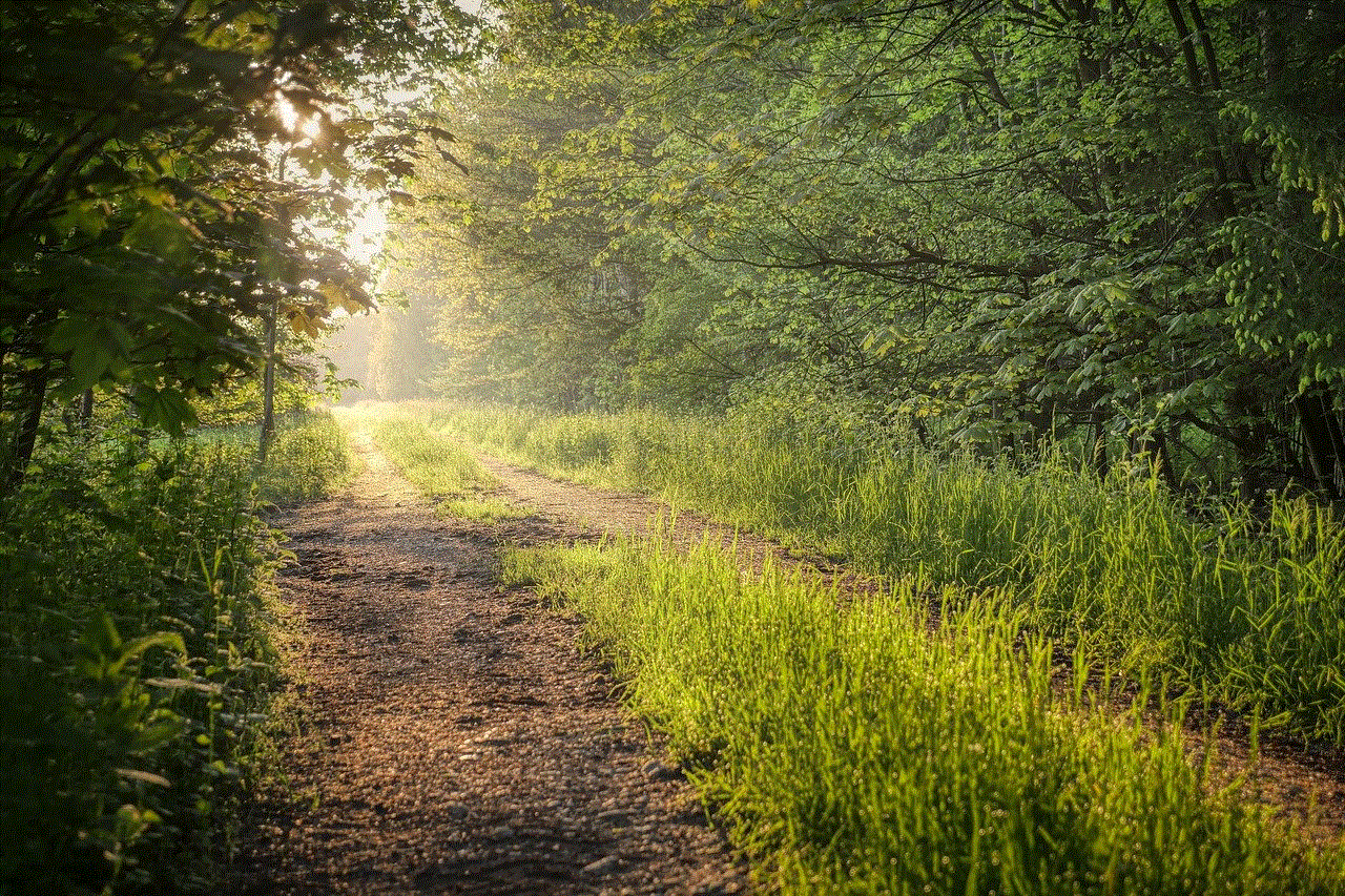 Meadow Path