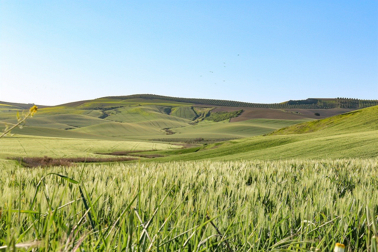 Nature Field