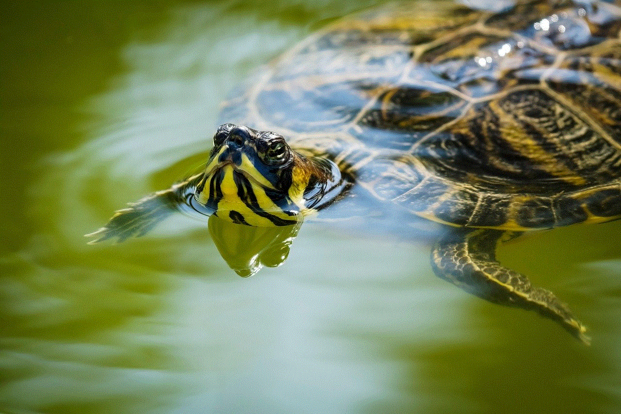 Cumberland Slider Troost'S Turtle