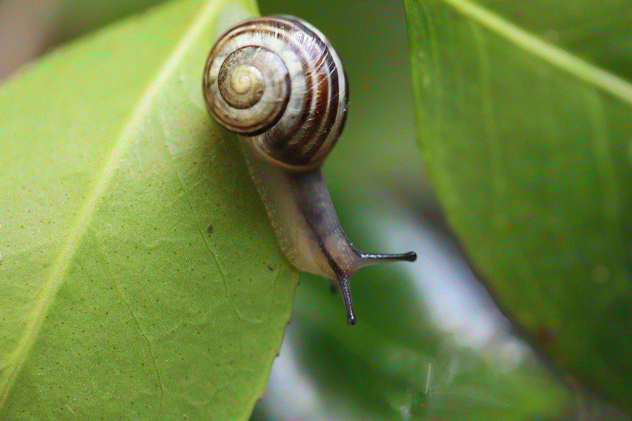 Snail Banded Snail