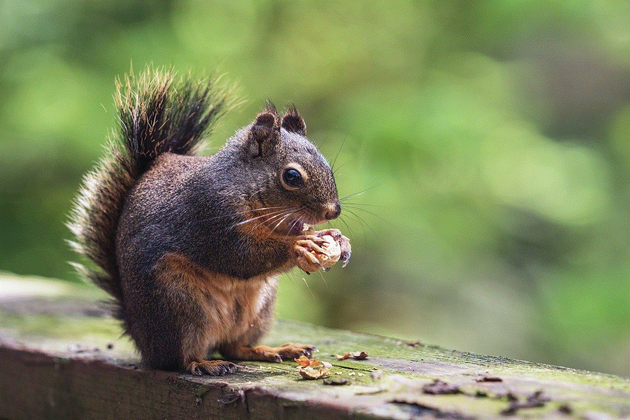 Squirrel Nuts